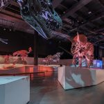 houston-museum-of-natural-science